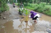 Heboh! Emak-Emak di Sumenep Ini Tanam Kunyit “Ajaib” di Tengah Jalan