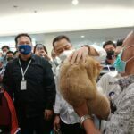 Dukung Penuh Acara Propaganda Cat Show di Surabaya, Eri: Semoga Lekas Internasional