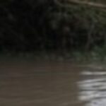 Bocah 7 Tahun Hanyut Terseret Arus Sungai di Saronggi Sumenep