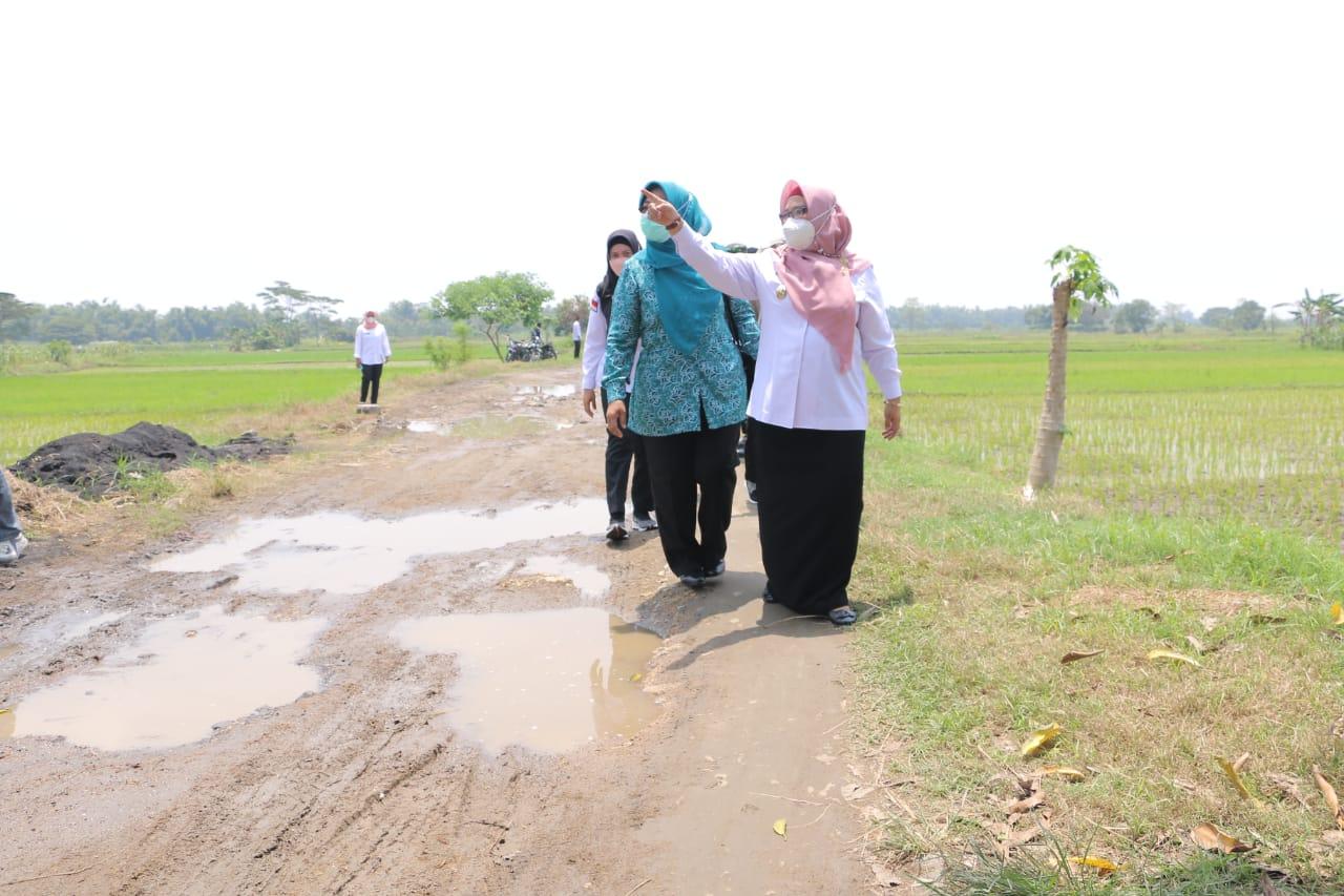 Wabup Bu Min Disambati Jembatan Klampok dan Kacangan
