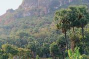 Merintis Agrowisata Kampung Legen Shoberoh