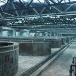 KKP Ciptakan Kemandirian Produksi Induk Udang Unggul Demi  Kejar Target Produksi Nasional
