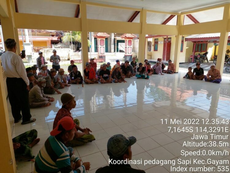 Puluhan Pedagang Sapi di Sapudi Sumenep Geruduk Kantor Kecamatan Gayam
