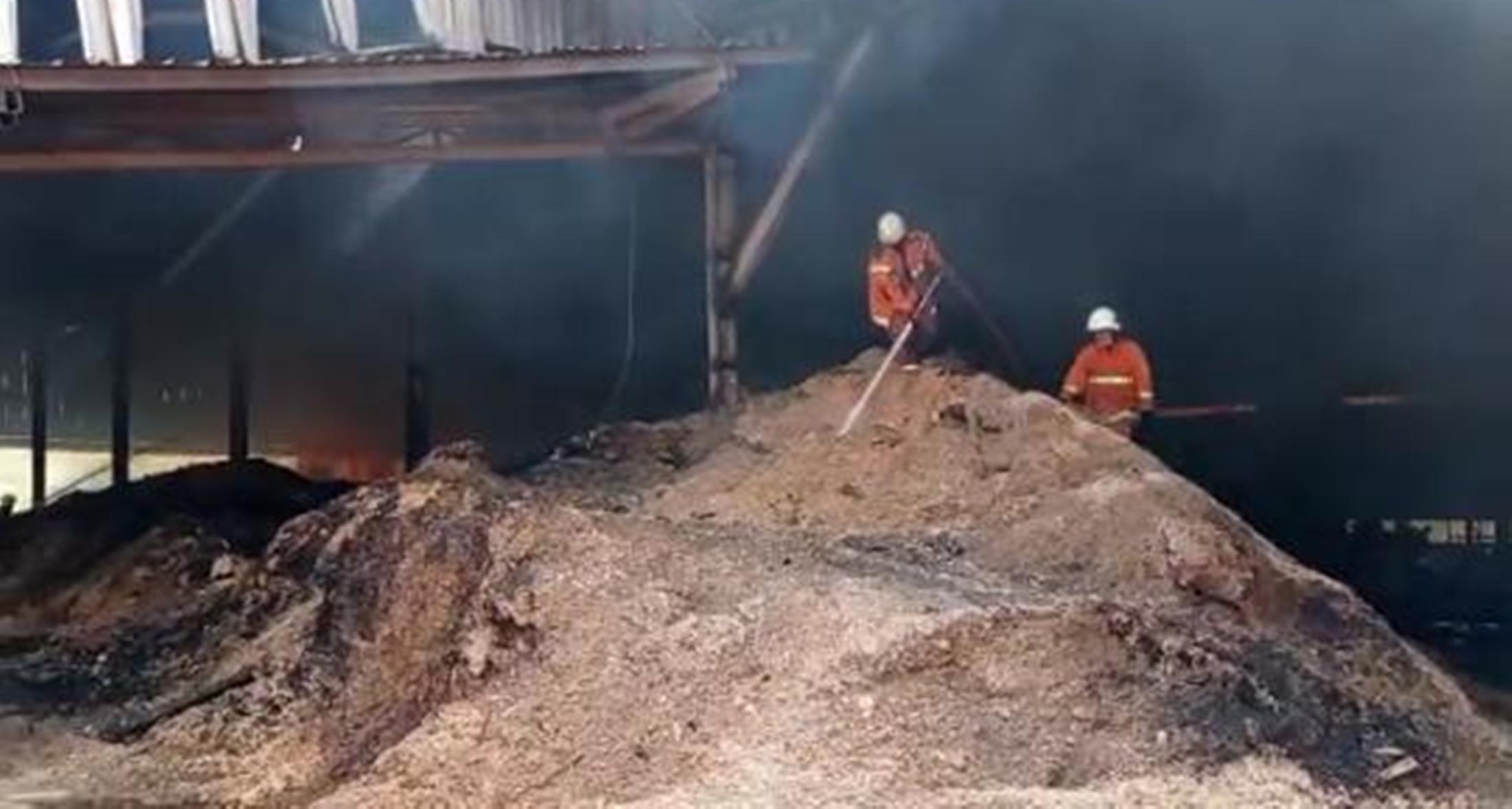 Pabrik Kayu dan Serbuk Kayu Ludes Terbakar di Gresik