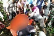 Heboh, Tengkorak Manusia Ditemukan di Hutan Jati Lenteng Sumenep