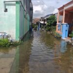 Banjir Rob masih Mampir ke Desa Banyuwangi