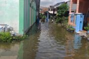 Banjir Rob masih Mampir ke Desa Banyuwangi