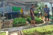 Warga Perumahan di Gresik, Merawat Lingkungan Meraup Cuan