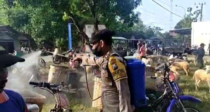 Cegah PMK, Petugas Gabungan di Bojonegoro Gelar Penyemprotan Disinfektan