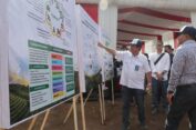 Penuhi Kebutuhan Gula Nasional, PG Dukung Tingkatkan Produktivitas Tebu