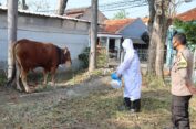 Polres Gresik Semprot Disinfektan Penampungan Hewan Kurban
