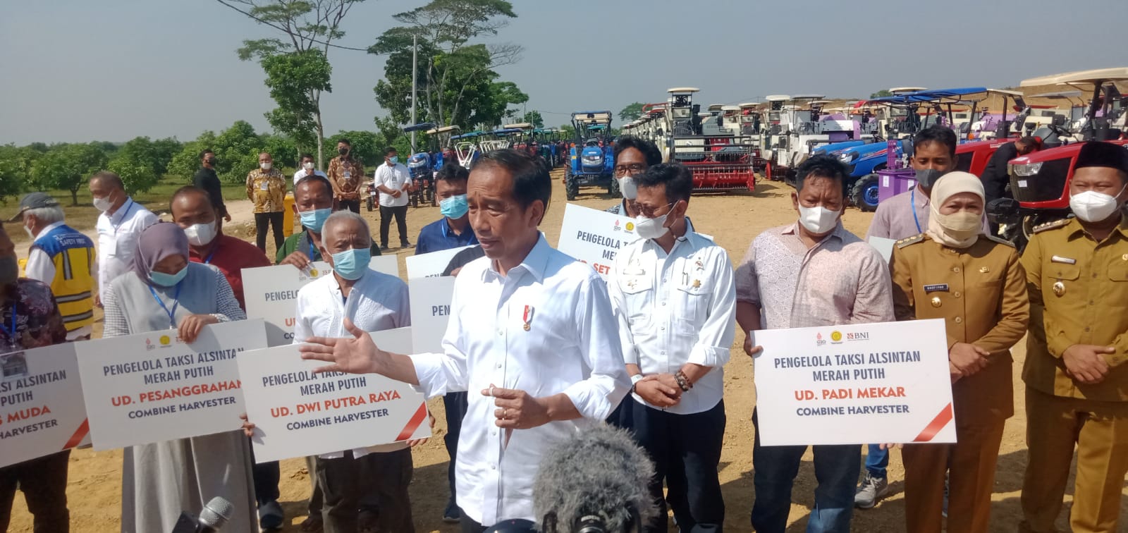 Presiden Jokowi Resmikan Program Food Estate Berbasis Mangga