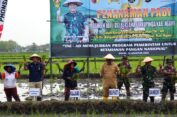 PG – TNI AD Kolaborasi Manfaatkan Lahan Tidur Jadi Lahan Pertanian Produktif