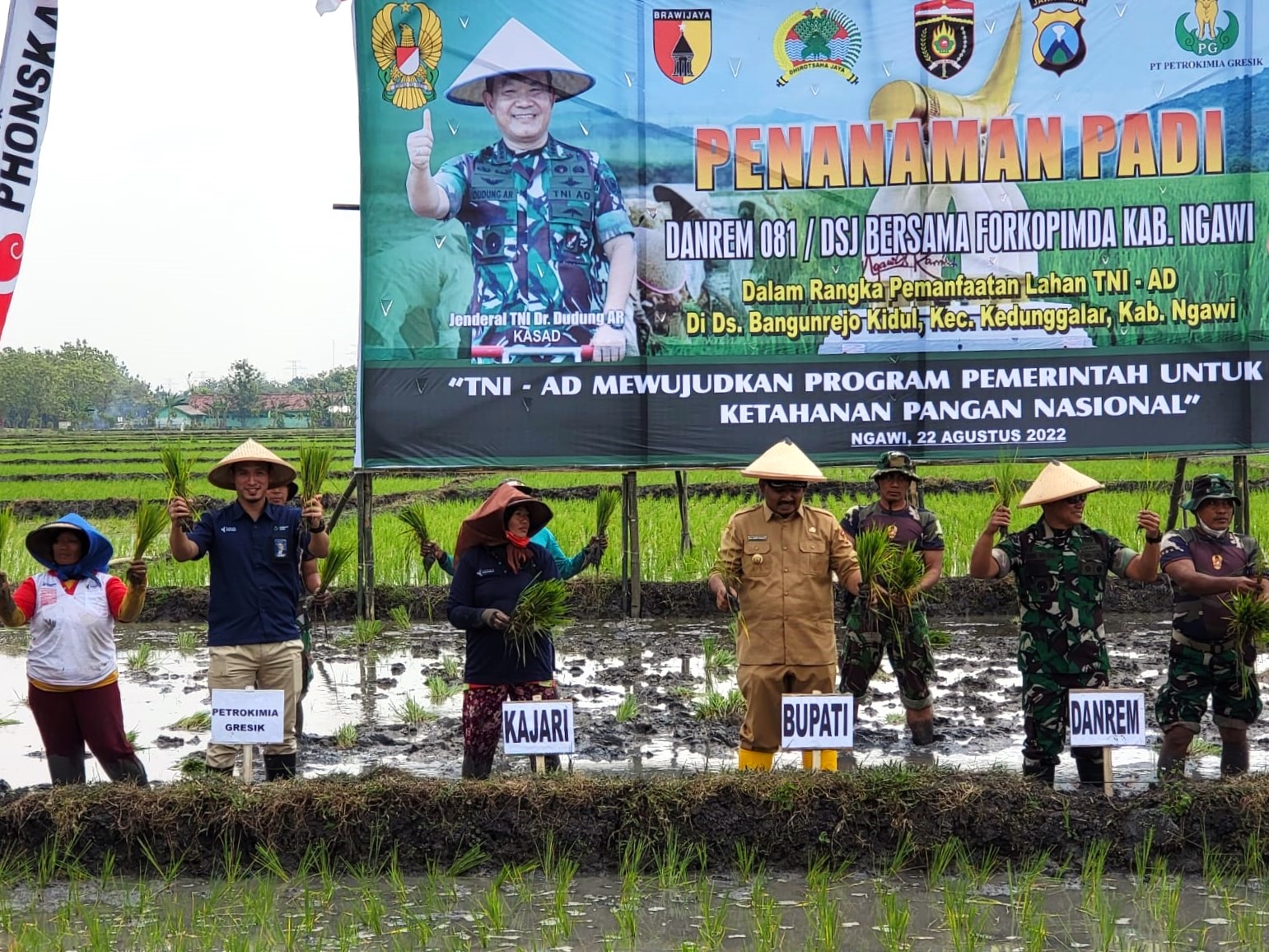 PG – TNI AD Kolaborasi Manfaatkan Lahan Tidur Jadi Lahan Pertanian Produktif