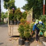 Hijaukan Hutan dan Taman Kota Gresik, PG Bantu 1.110 Bibit Pohon