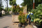 Hijaukan Hutan dan Taman Kota Gresik, PG Bantu 1.110 Bibit Pohon