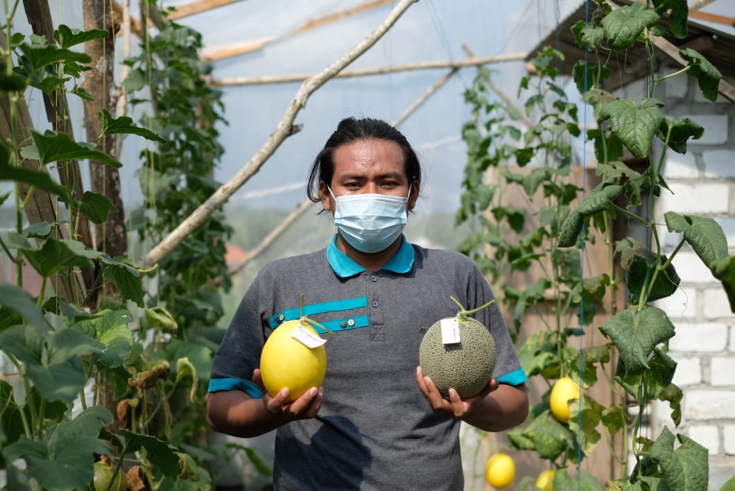 Pangsa Pasar Legit Menanti Pembudidaya Melon Eksklusif