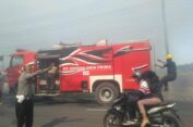 Sehari, Tiga Kebakaran Ilalang Terjadi di Gresik