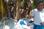 Manfaatkan Lahan Tidak Produktif, Petani di Kedamean Gresik Tanam Kunyit