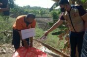 Polres Gresik Gelar Rekonstruksi Pembunuhan Mayat dalam Tas Plastik, Tersangka Peragakan 11 Adegan
