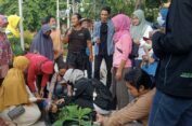 Peringati Hari Tani Nasional, Pengunjung CFD Gresik Antusias Terima Bibit Tanaman Hortikultura dan Pupuk Organik Gratis