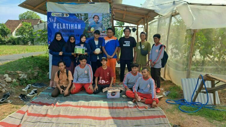 Gandeng Petani Milenial, Mahasiswa KKN Unmuh Gresik Gelar Pelatihan Tanam Melon Segala Musim