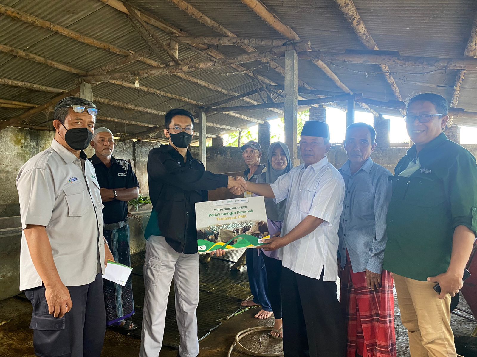 PG Gelontor Peternak Sapi Mitra Kebanggaan Terdampak PMK Rp 150 Juta