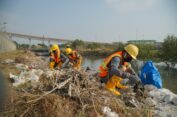 Komitmen Lindungi Lingkungan Maritim, PG Konsisten Terapkan Konsep Green Port