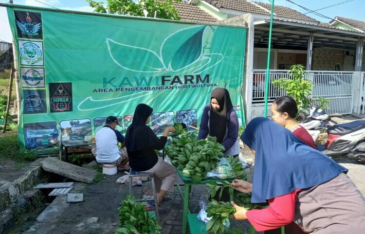 Dukung Ekonomi Kreatif, Emak-Emak di Driyorejo Gresik Borong Sayur Organik dan Ikan Lele di Kawi Farm