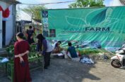 Manfaatkan Lahan Kosong untuk Hortikultura, Warga Perumahan di Driyorejo Gresik Cuan Jutaan Rupiah