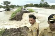 Tanggul Kali Lamong di Gresik Jebol, Banjiri Persawahan dan Pemukiman Warga