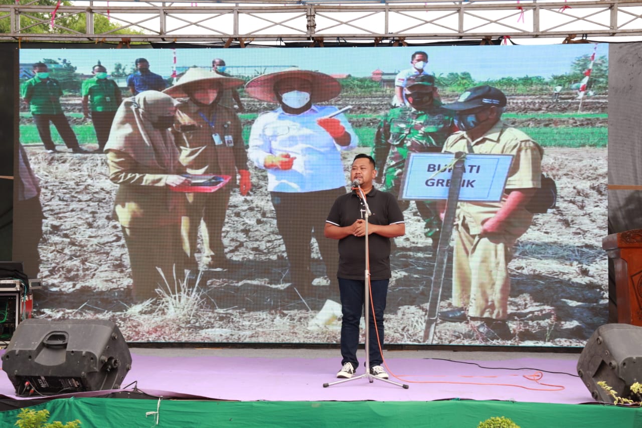 Bupati masih Geram Distan Gresik  Bantu 20 Ribu Bibit Cabai ke PKK, Ini Alasannya