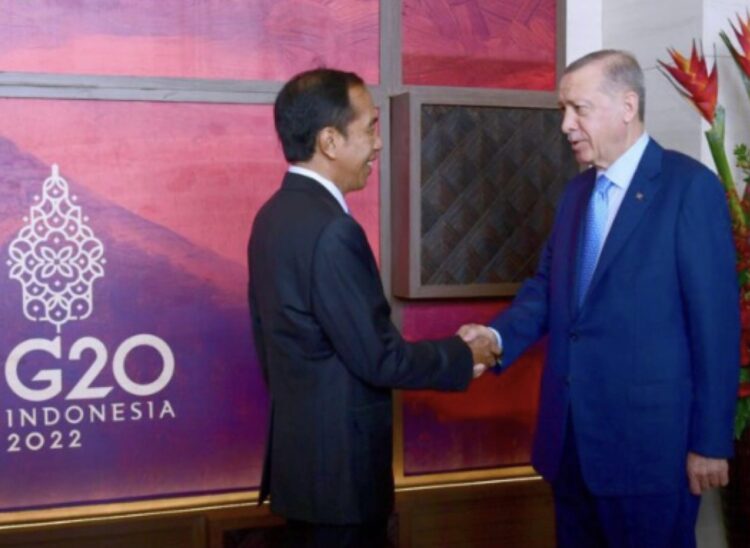 Bertemu Presiden Erdogan, Presiden Jokowi Sampaikan Apresiasi