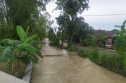 Anak Kali Lamong Meluap, Satu Desa di Kecamatan Benjeng Terendam