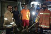 Warga Perum Gending Asri Gresik Kaget Ular Piton Masuk Rumah