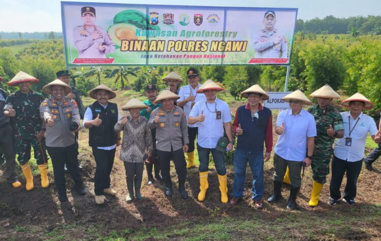 Perhutani, Polda Jatim, dan Forkopimda Ngawi Panen Padi Bareng di Kawasan Hutan