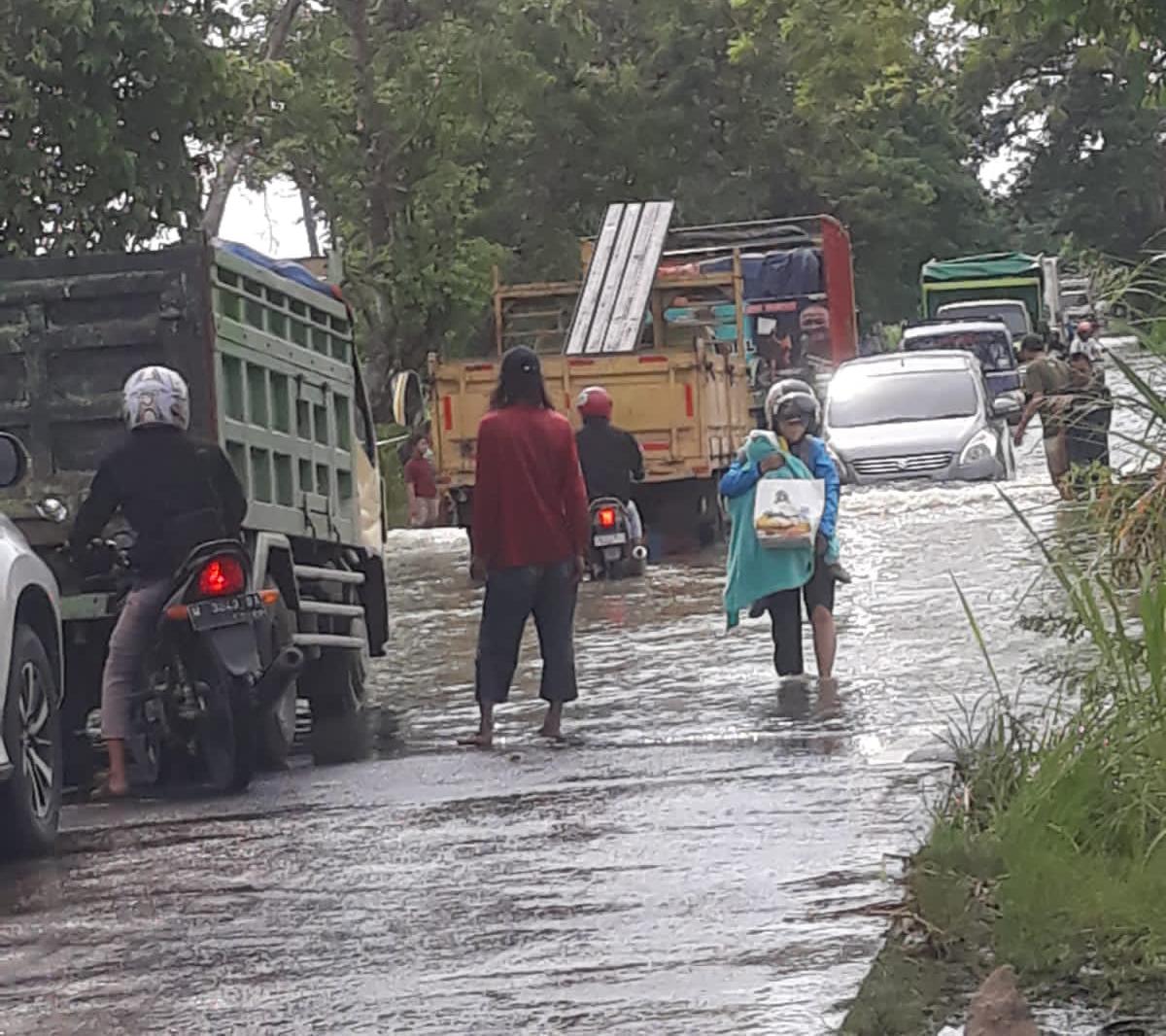 Banjir Luapan Kali Lamong, Rendam 50 Rumah Warga di Cerme