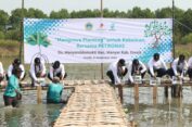 Pemkab Gresik Bersama Petronas dan SKK Migas Tanam 10 000 Bibit Mangrove