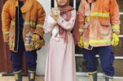 Gerak Cepat, Damkar Gresik Lakukan Evakuasi Kucing dari Atap Rumah