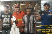 Niat Cari Rumput di Sawah, Justru Disamperin Ular Piton Besar di Gresik