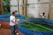 Dinas Perikanan Gresik Gelontor Hibah Jutaan Benih Ikan dan Pakan