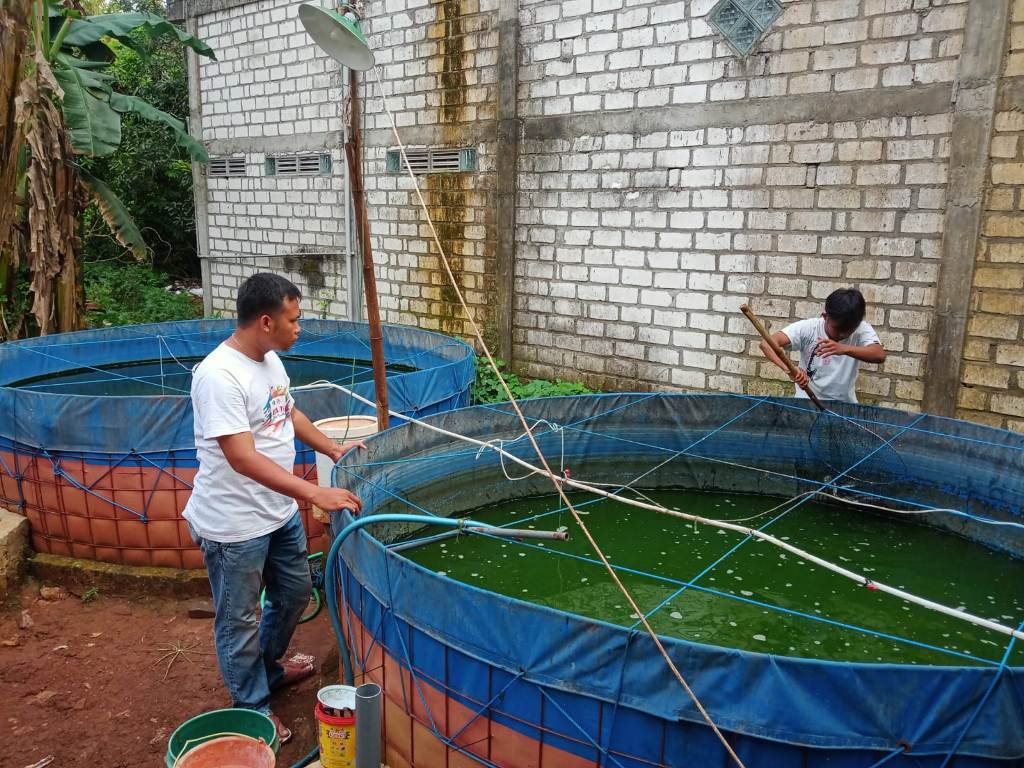 Dinas Perikanan Gresik Gelontor Hibah Jutaan Benih Ikan dan Pakan