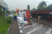 Truk Gandeng Muatan Pakan Ikan Terguling di Gresik
