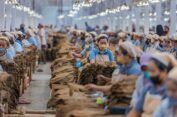 PTPN X Bukukan Laba Rp90 Miliar hingga Triwulan III