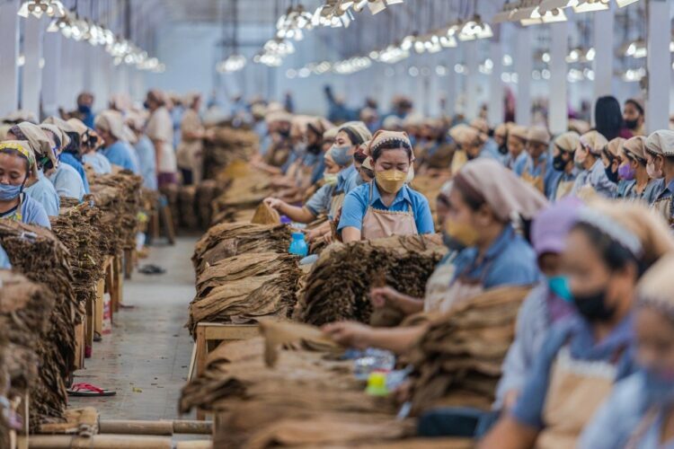 PTPN X Bukukan Laba Rp90 Miliar hingga Triwulan III
