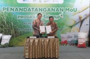 Program Makmur Terbukti Tingkatkan Hasil Panen Tebu, PG –SGN MoU Dongkrak Produktivitas Gula Nasional