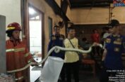 Ular Piton 2,5 Meter Gegerkan Pengunjung Warkop di Gresik