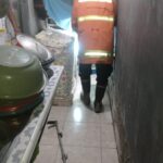 Bersihkan Lorong Dapur, Warga Gresik  Temukan Ular Koros Sembunyi di Barang Berantakan