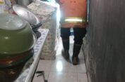 Bersihkan Lorong Dapur, Warga Gresik  Temukan Ular Koros Sembunyi di Barang Berantakan