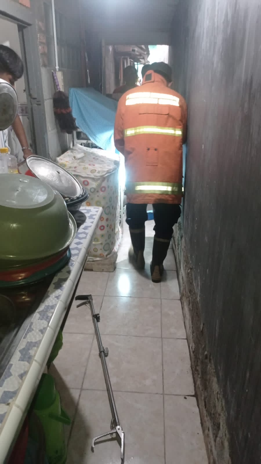 Bersihkan Lorong Dapur, Warga Gresik  Temukan Ular Koros Sembunyi di Barang Berantakan